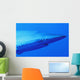 Shark's Head Wall Mural