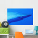 Shark's Head Wall Mural