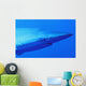 Shark's Head Wall Mural