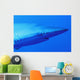 Shark's Head Wall Mural