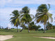 Golf Course Caribbean Wall Decal