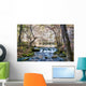 Little Stream Missouri Wall Decal
