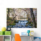 Little Stream Missouri Wall Decal