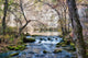 Little Stream Missouri Wall Decal