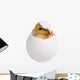 Chicken Shell Wall Decal