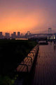 Tokyo Wall Decal