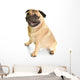 Pug Wall Decal
