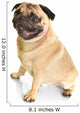 Pug Wall Decal