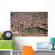 Cuzco Stadtansicht Wall Decal