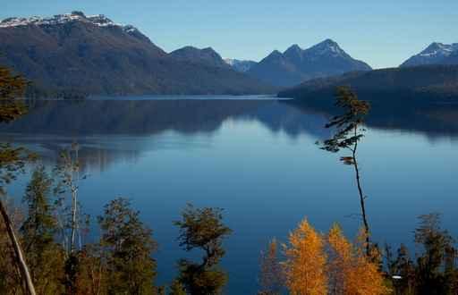 Patagonia Nature Wall Decal