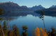 Patagonia Nature Wall Decal