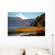 Volcanic Area Patagonia Wall Decal