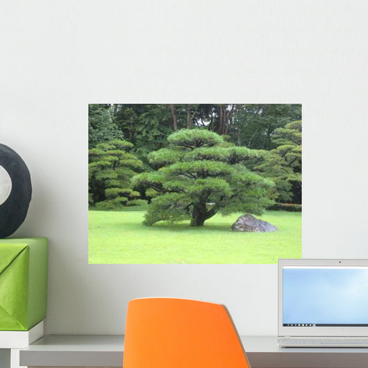 Japanese Garden Bonsai Tree Wall Decal