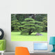 Japanese Garden Bonsai Tree Wall Decal