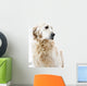 Golden Retriever Wall Decal