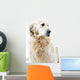 Golden Retriever Wall Decal