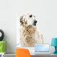 Golden Retriever Wall Decal