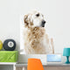 Golden Retriever Wall Decal