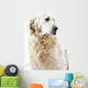 Golden Retriever Wall Decal