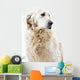 Golden Retriever Wall Decal