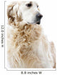 Golden Retriever Wall Decal