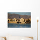 Reed Houses Lake Titicaca Wall Decal