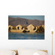 Reed Houses Lake Titicaca Wall Decal