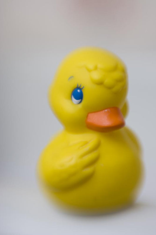 Ducky Wall Mural