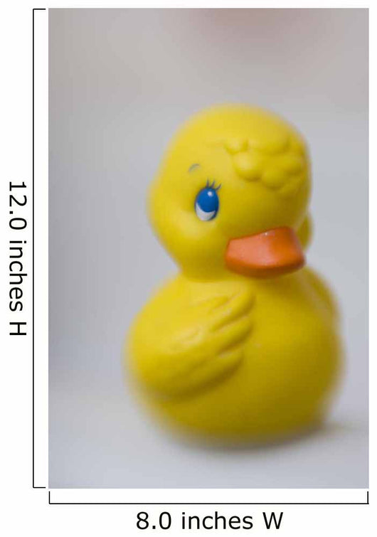 Ducky Wall Mural