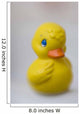 Ducky Wall Mural