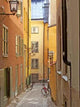 Old Town Stockholm Street Wall Decal