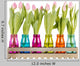 Rosane Tulips Colorful Glasses