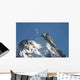 Aiguille Du Midi Wall Decal