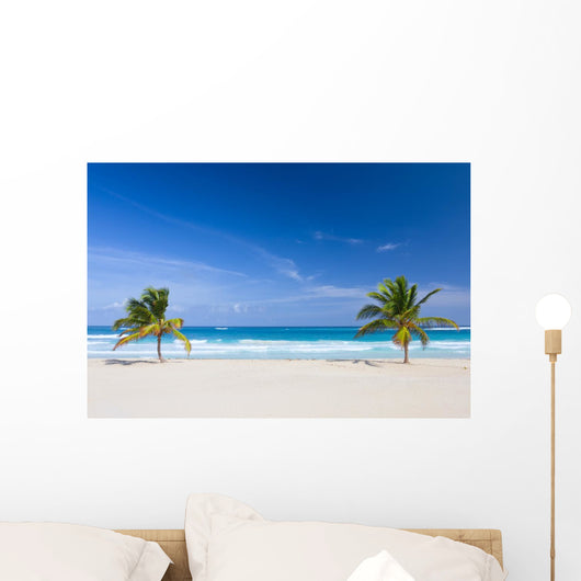 Two Palm Trees Tropical