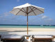 Just For Two Wall Decal