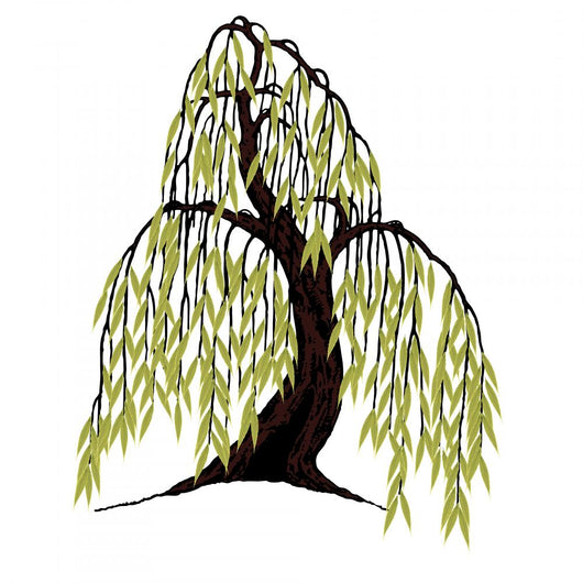Willow