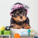 Yorkshire Terrier Puppy Wearing a Hat Wall Decal
