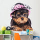 Yorkshire Terrier Puppy Wearing a Hat Wall Decal