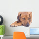 Rhodesian Ridgeback Male 3 Wall Decal