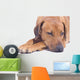 Rhodesian Ridgeback Male 3 Wall Decal
