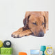 Rhodesian Ridgeback Male 3 Wall Decal