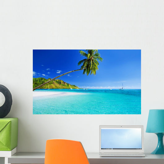 Palm Tree Hanging over