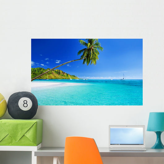 Palm Tree Hanging over