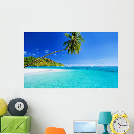 Palm Tree Hanging over