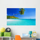 Palm Tree Hanging over