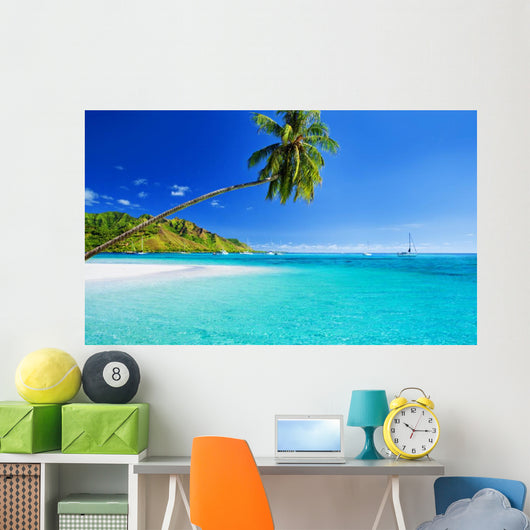 Palm Tree Hanging over
