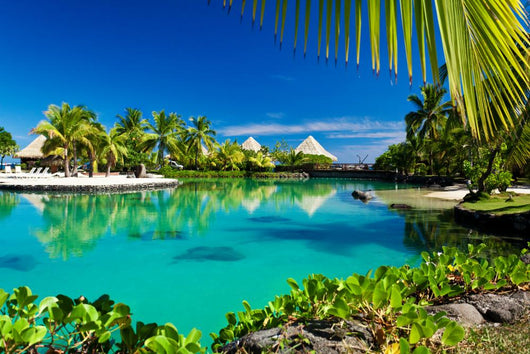 Tropical Resort with Green