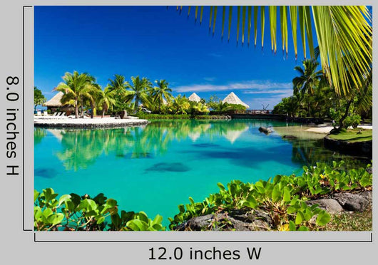 Tropical Resort with Green