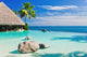 Infinity Pool with Palm
