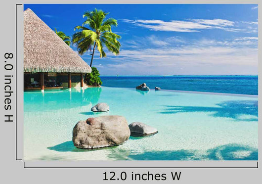 Infinity Pool with Palm